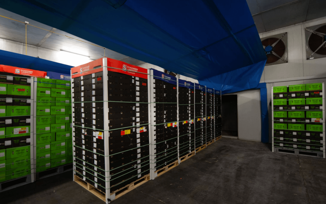 Optimising the cold chain prevents unnecessary produce losses and saves businesses money