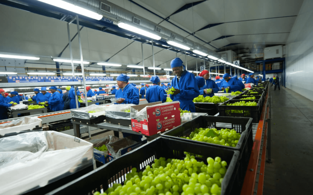 Cold storage Infrastructure and refrigeration tech are key for growth in SA food production